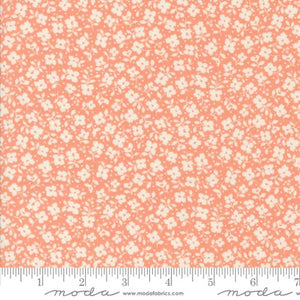 DAINTY MEADOW 31745 19 Coral Floral Heather Briggs MODA