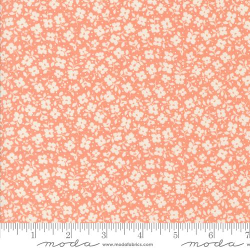 DAINTY MEADOW 31745 19 Coral Floral Heather Briggs MODA